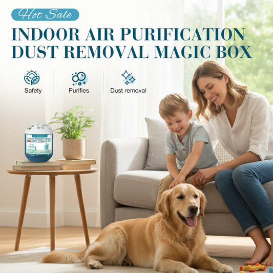 🔥 Limited-Time Pre-Sale⏰Indoor Air Purification Dust Removal Magic Box🏠🌿